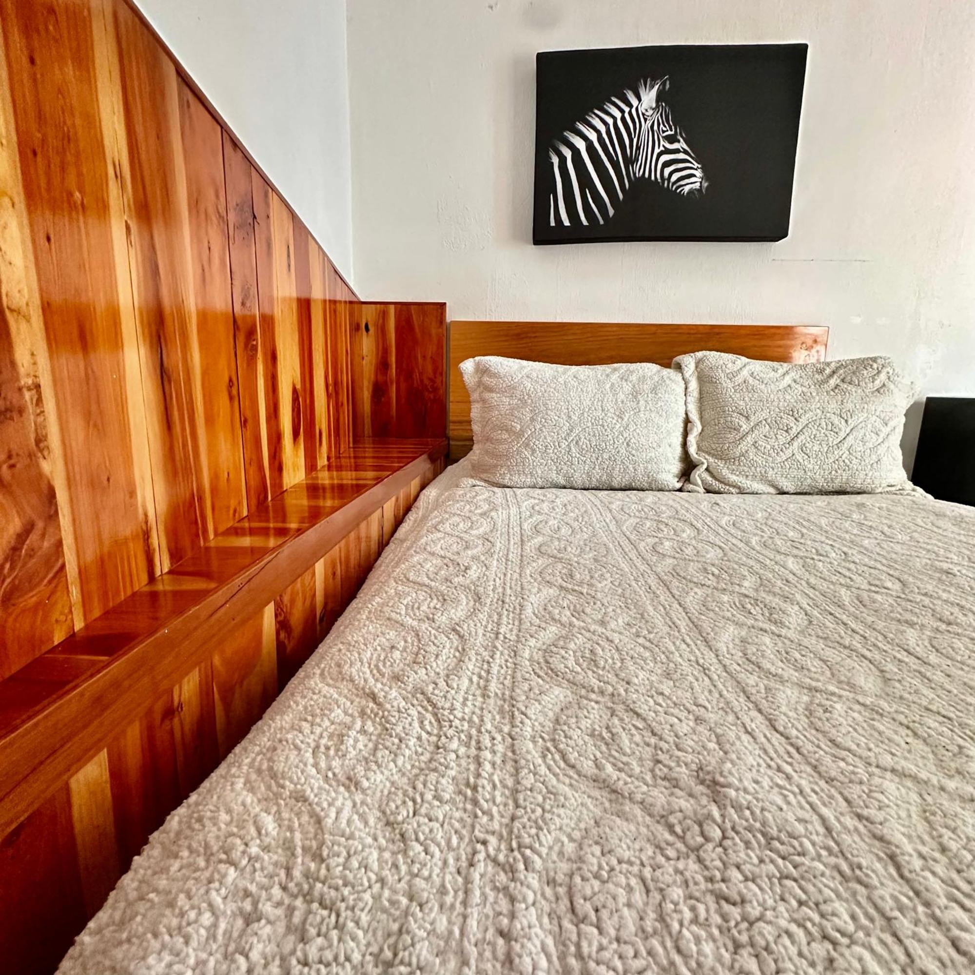 La Etelvina Suites San Cristóbal de Las Casas エクステリア 写真